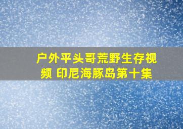 户外平头哥荒野生存视频 印尼海豚岛第十集